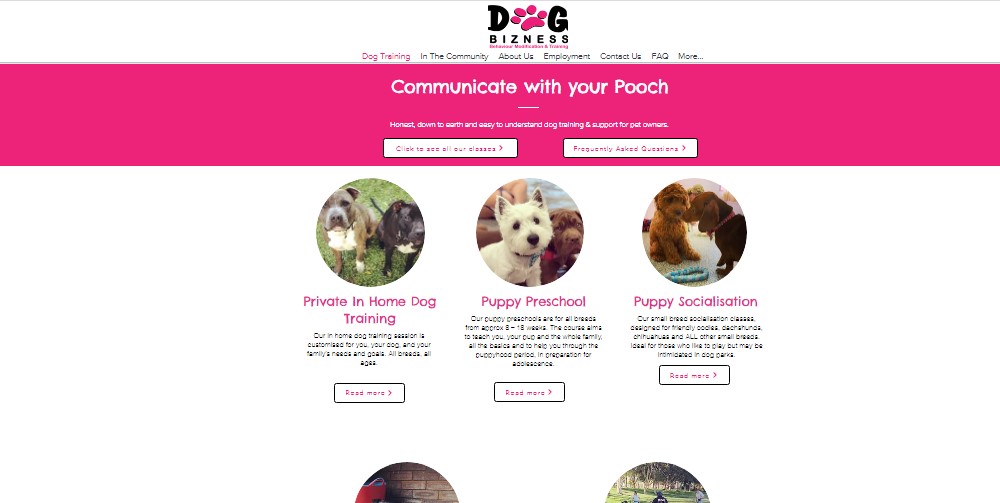 Dog Bizness - Brisbanebest