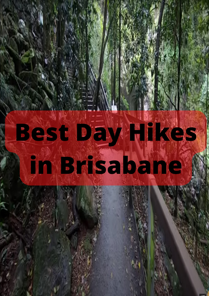 Best Day Hikes in Brisabane