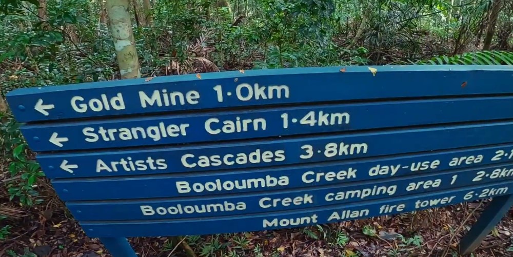 Conondale National Park - Brisbanebest