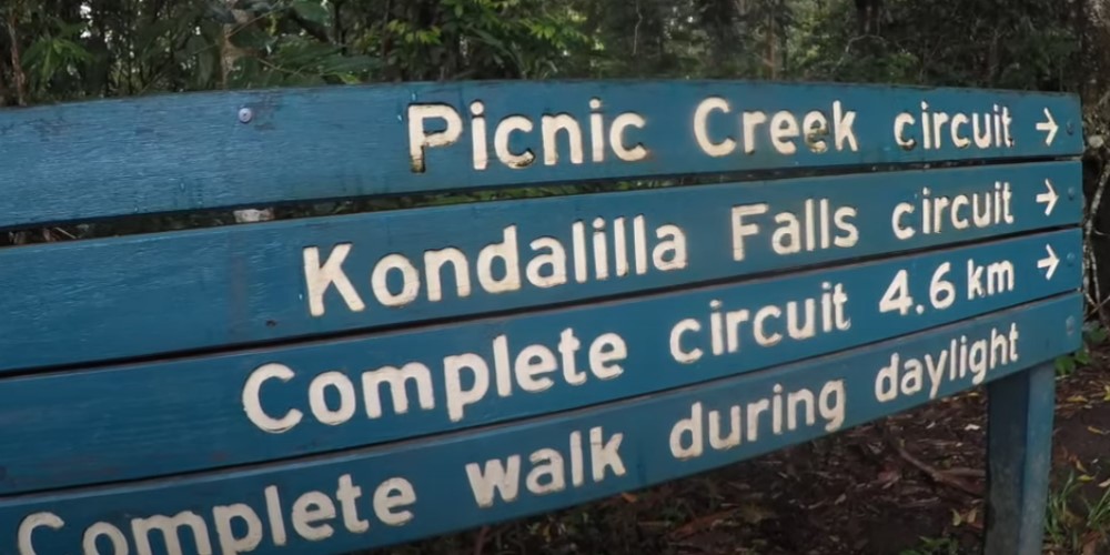 Kondalilla Falls - Brisbanebest