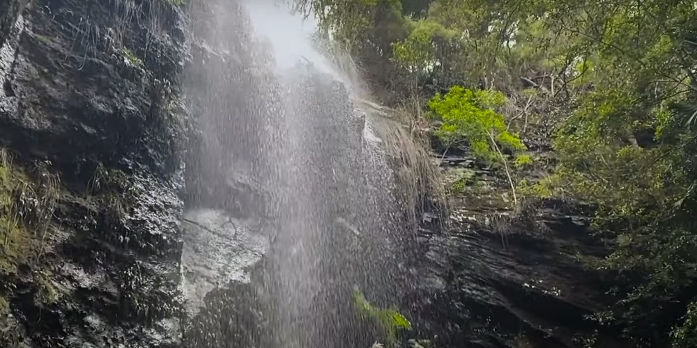 Purling Brook Falls - Brisbanebest